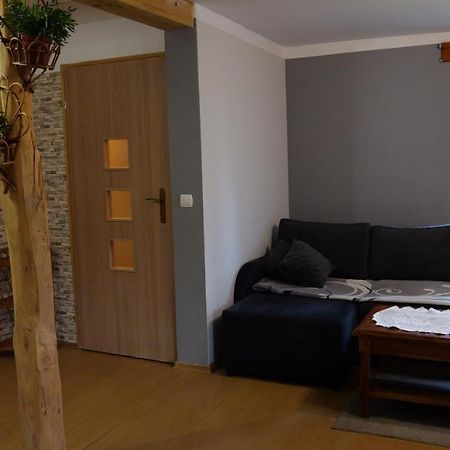 Apartamenty Lucky-Ski Ustrzyki Dolne Kültér fotó