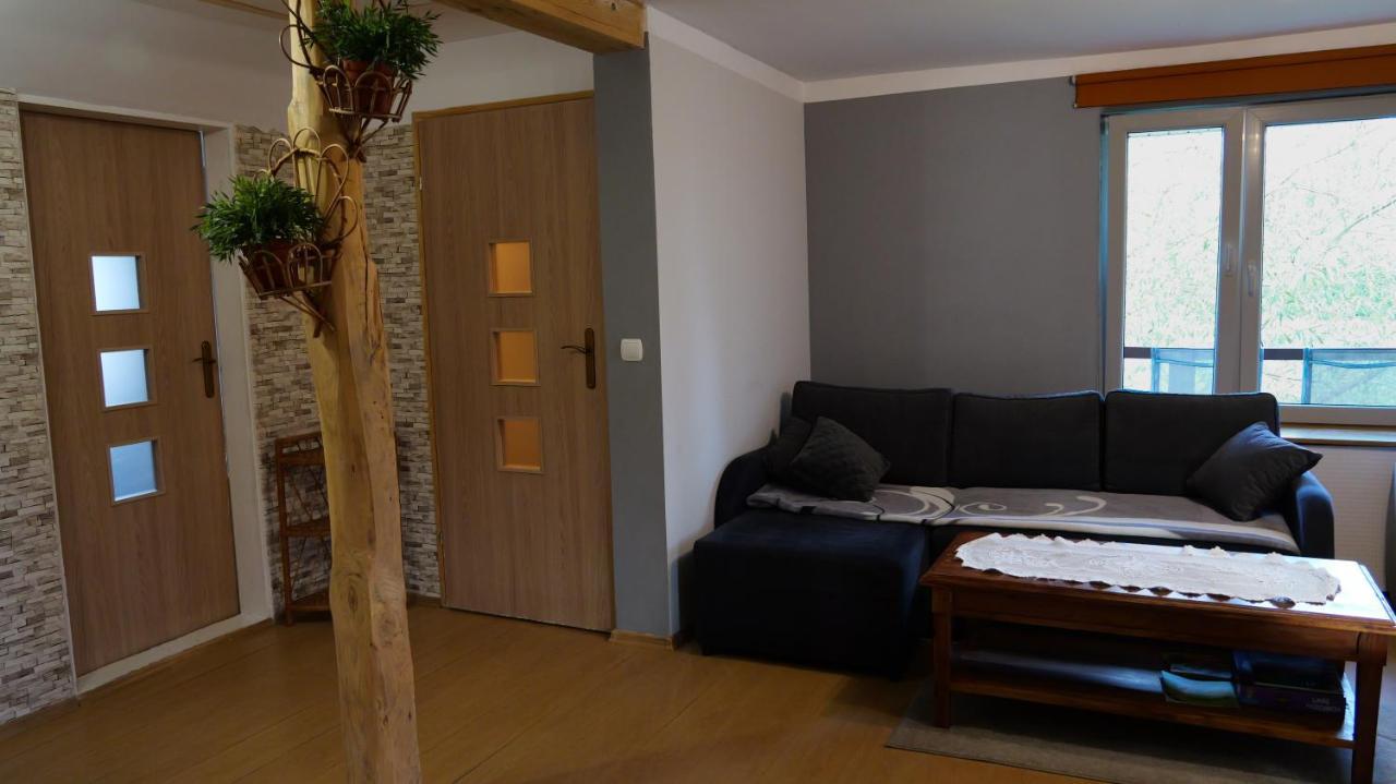 Apartamenty Lucky-Ski Ustrzyki Dolne Kültér fotó